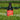 bière personnalisée On est des joueurs qu'on va vite avec le ballon citation ribery football foot biere personnalisée