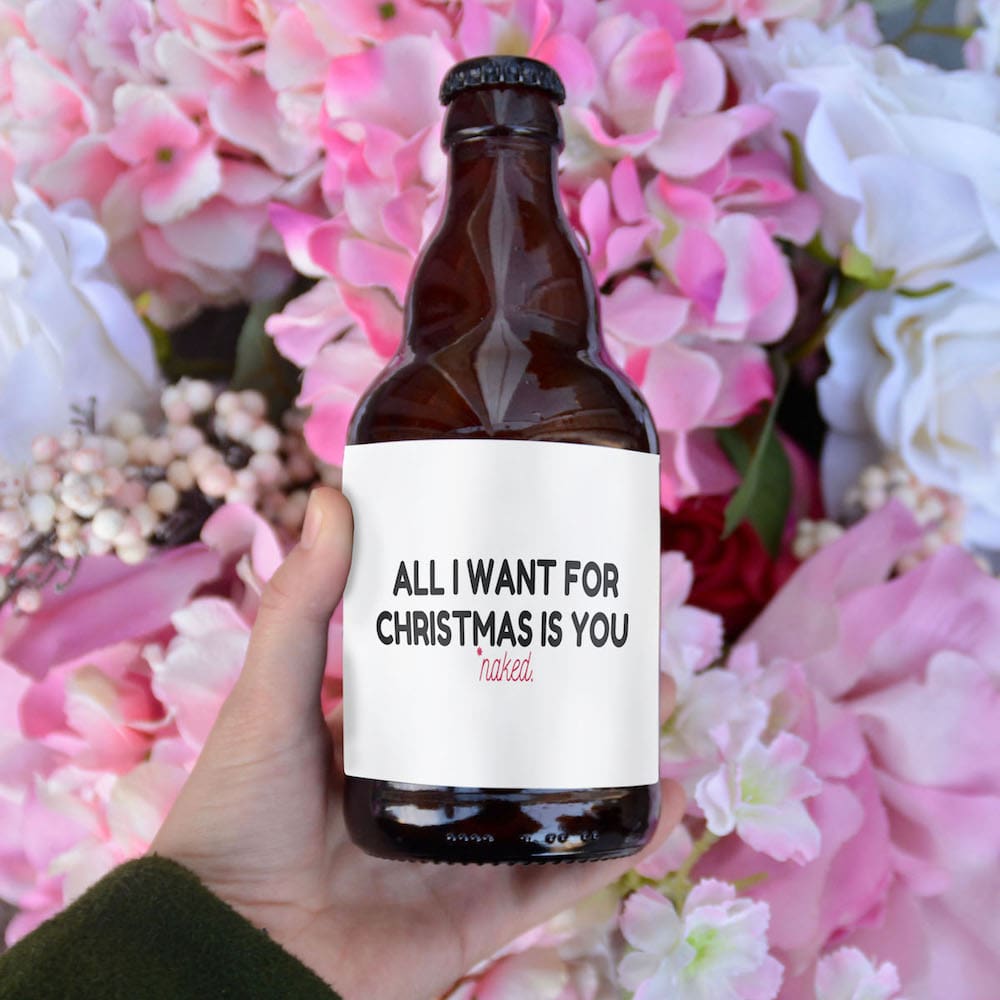 biere all i need for christmas is you naked humour